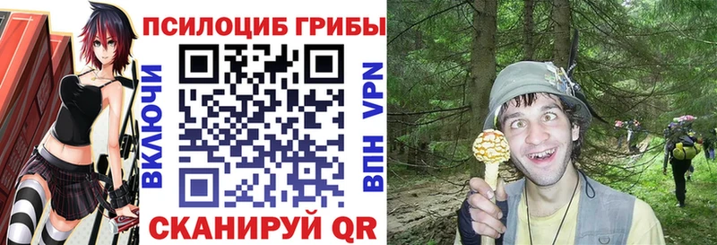 Галлюциногенные грибы GOLDEN TEACHER Белёв
